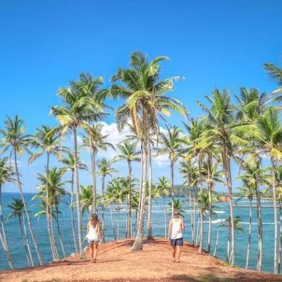 Attractions Mirissa Best Things Do See Mirissa