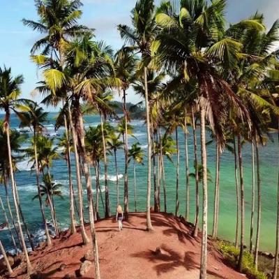 Coconut Tree Hill Mirissa Visiting Places