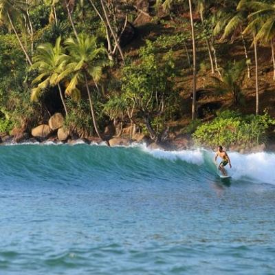 Surfing In Mirissa Mirissa Sri Lanka Things To Do