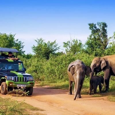 Udawalawe Safari Fun