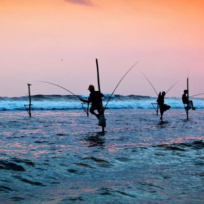 Visit The Stilt Fishermen